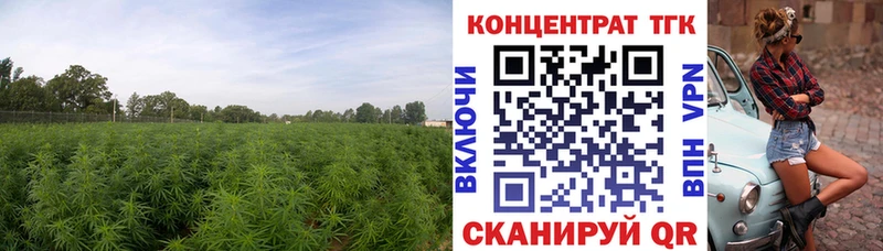 ТГК гашишное масло  Верхоянск 