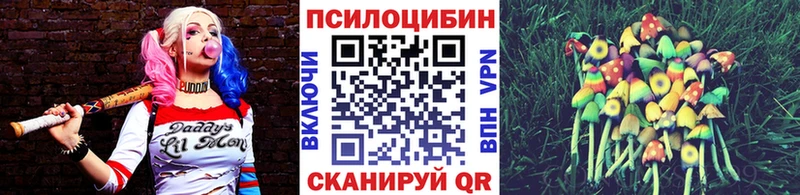 купить наркотики сайты  Верхоянск  блэк спрут ссылка  Псилоцибиновые грибы мицелий 